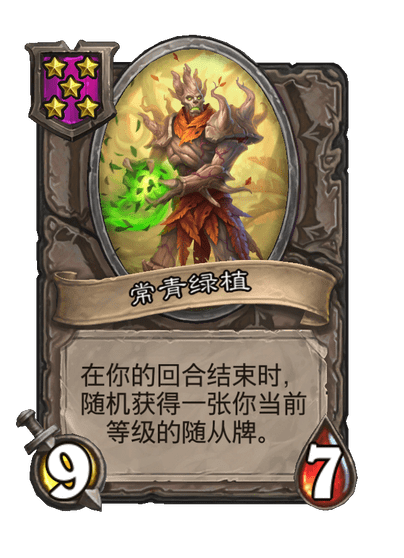 常青绿植