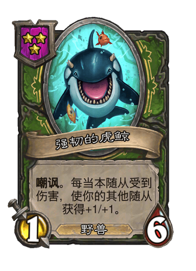 强韧的虎鲸